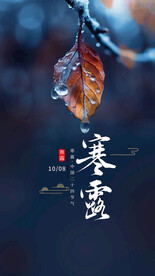 寒露时节手机海报