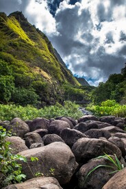 山坡风景和桥