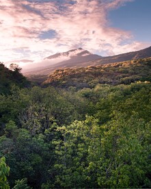 山林和山脉风景