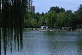 陶然亭风景 