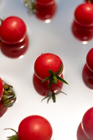 小番茄
