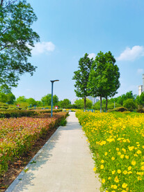 公园绿化小路