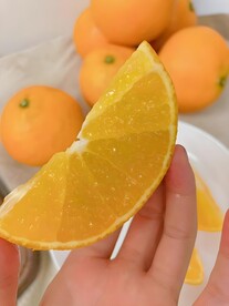 橙子