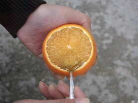 橙子