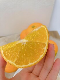 橙子