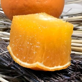 橙子