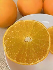 橙子