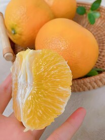 橙子