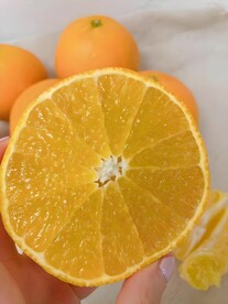 橙子