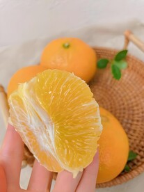 橙子