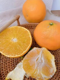 橙子