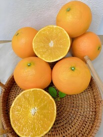 橙子