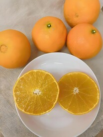 橙子