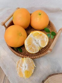 橙子