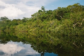 树林镜像湖景