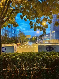 清晨