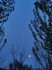 夜空