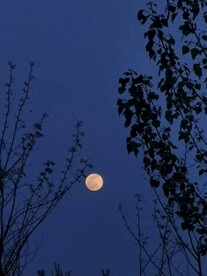 夜晚
