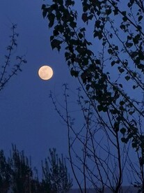 夜空
