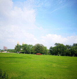 蓝天白云草地