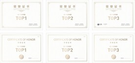荣誉证书  奖状