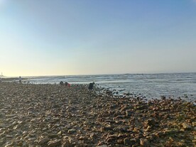 山东日照海边