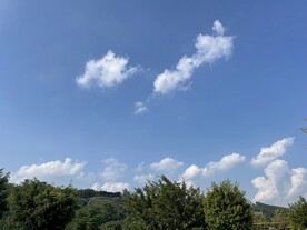 森林美景