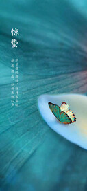 惊蛰海报 