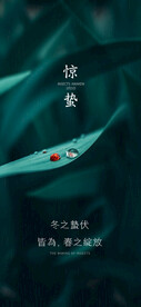 惊蛰海报  