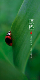 惊蛰海报 