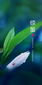 惊蛰海报 