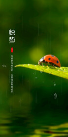 惊蛰海报  