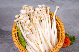 白玉菇