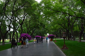 公园风景