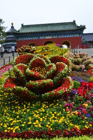  园林风景
