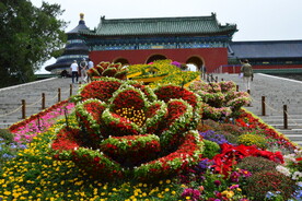 公园风景 