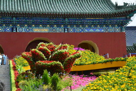 公园风景