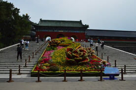 公园风景