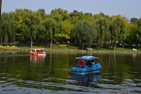 公园风景