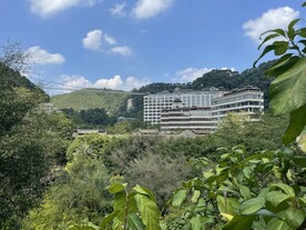 林间风景