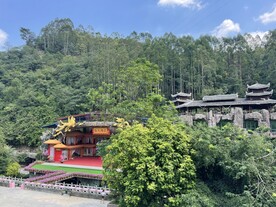 树木美景