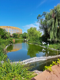 公园风景