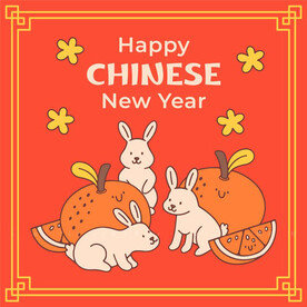 兔子海报 