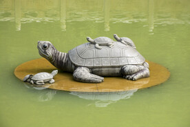 乌龟