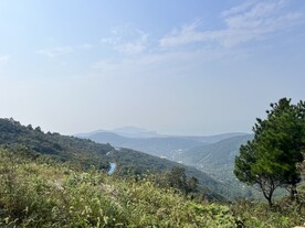 山景