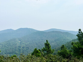 山景