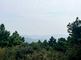 山景
