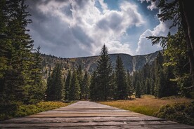 林间道路