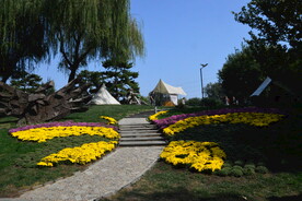 公园风景 
