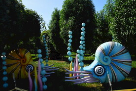 公园风景